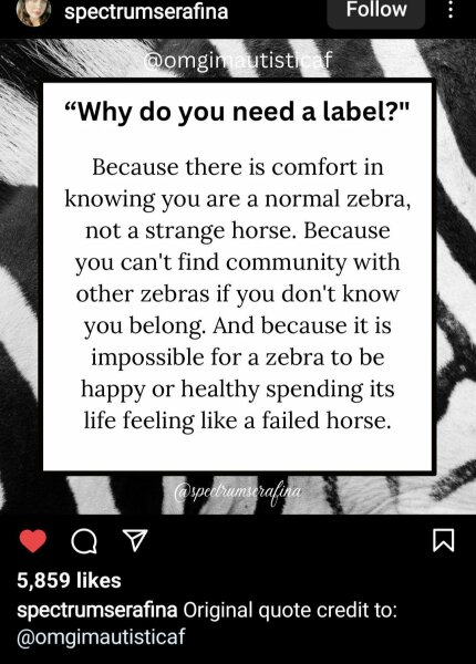 What to do with a bright child?