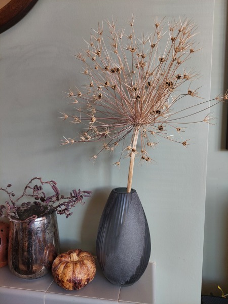 Poncetastic Christmas 2025