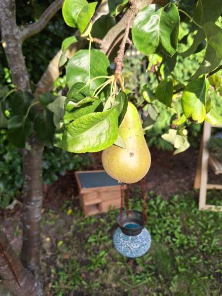 Low histamine Christmas ideas 😕