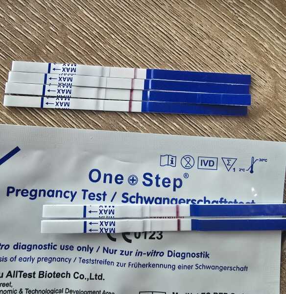 TTC TWW August/September 2025