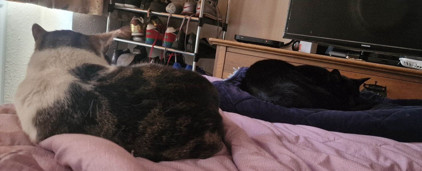 Thread 32 Starmer - Corn Moon