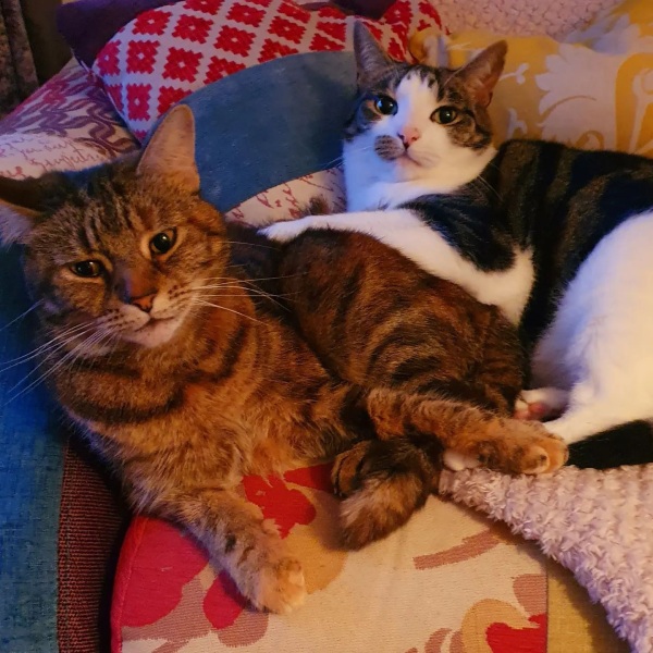 Photoshop Skills Needed Please!