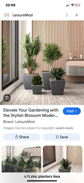 Any suggestions on why house isn’t selling (with listing)