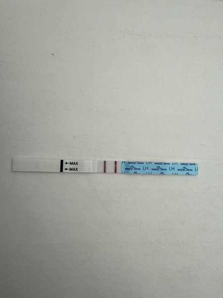 September TTC thread 💛