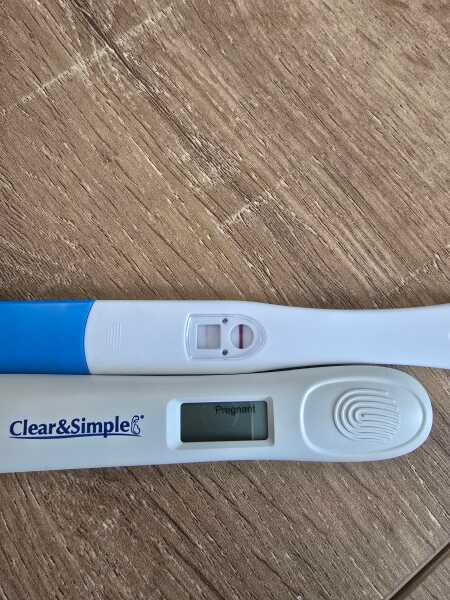 TTC TWW August/September 2025