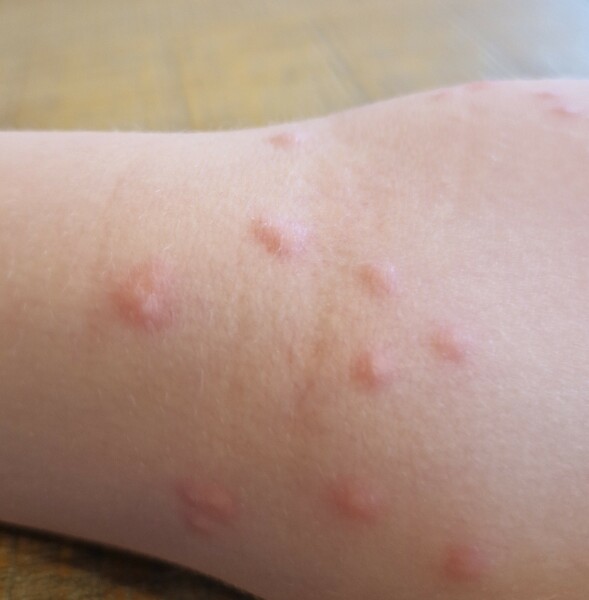 What on earth is this??