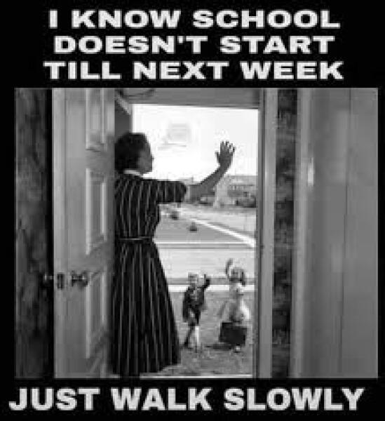 To hate all the gleeful revelling in back to school posts