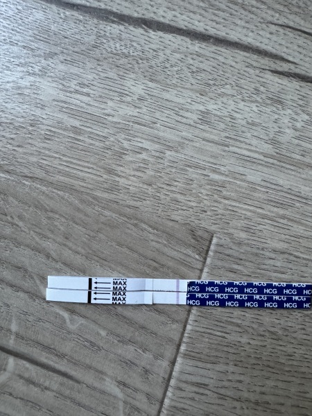 Pregnancy tests - help please !
