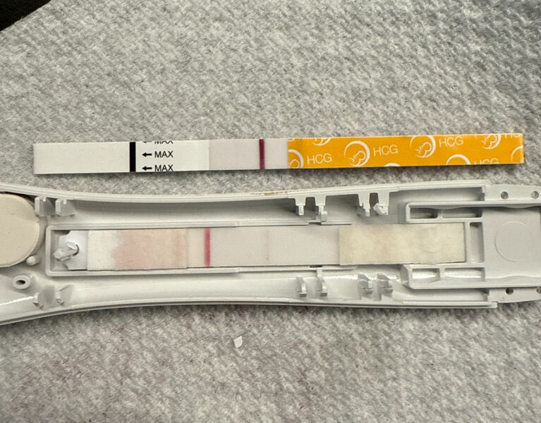 TTC TWW August/September 2025