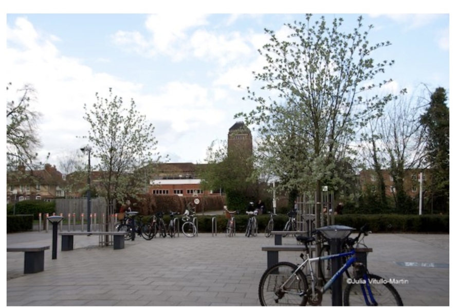 The Autumn Bluestocking - mist, mellow fruitfulness and hot chocolate!