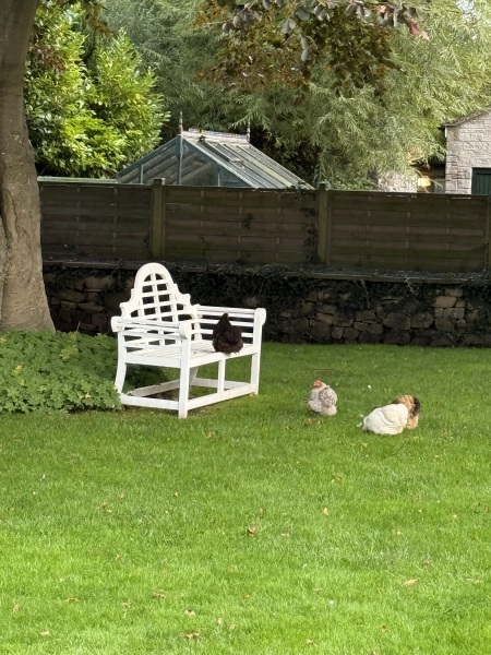 Year round Nigel Slater discussion thread Part 2