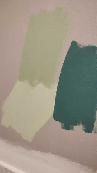 A dulux green for bathrooms