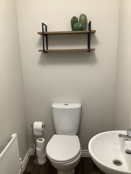 What to put on downstairs toilet shelf?