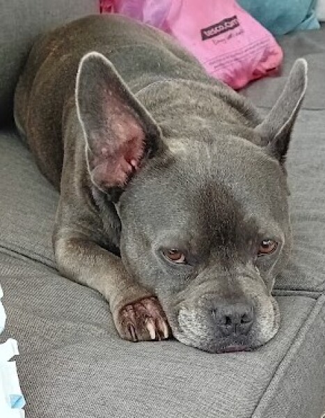 Support thread for those trying to lead an alcohol free life - Autumn 25