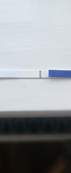 Late period, possibly faint line, ectopic history, lend me your eyes?