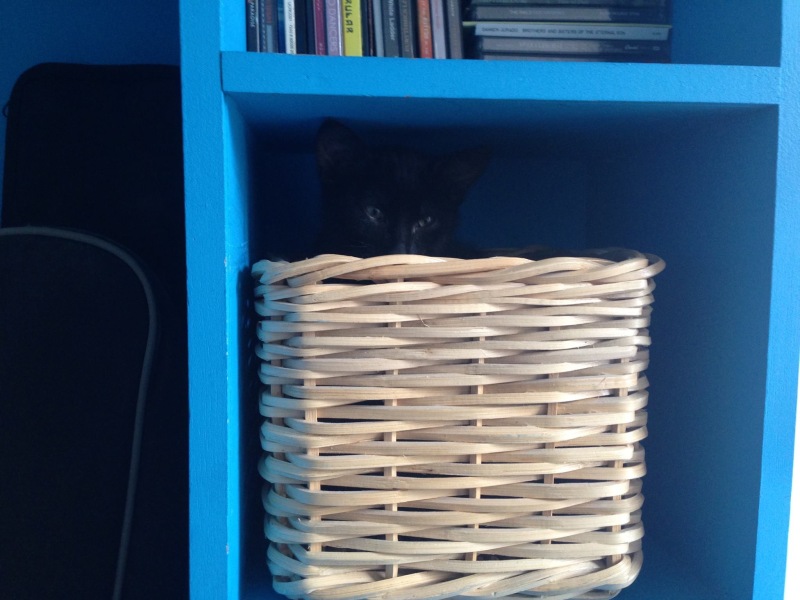 Thread 34 Starmer - Conference Swanwiches and a Deputy Leader contest