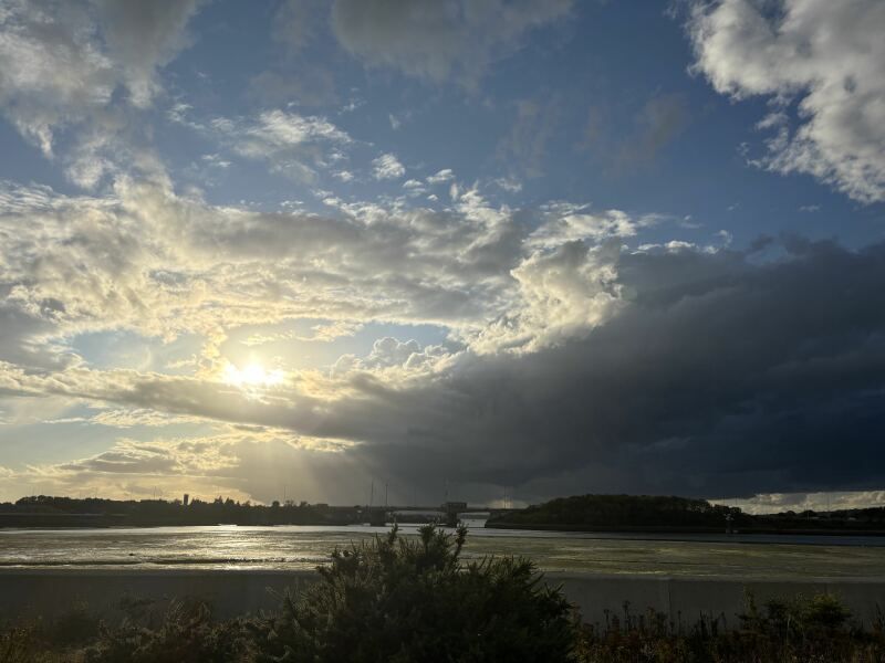 Thread 32 Starmer - Corn Moon