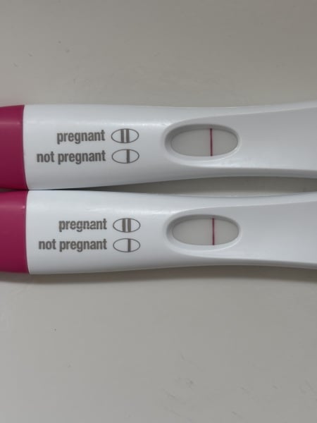 TTC TWW August/September 2025