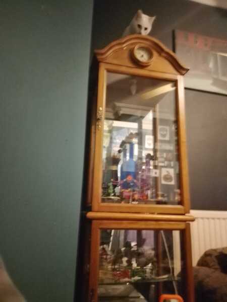 Scottish Tourism - the Excellent Cats debate Gizmo's suitability as a top influencer