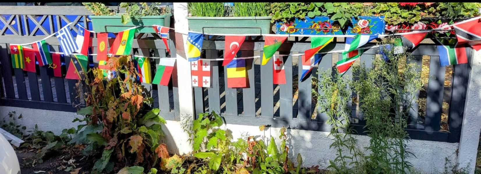 Thread 31 Starmer - September Rain