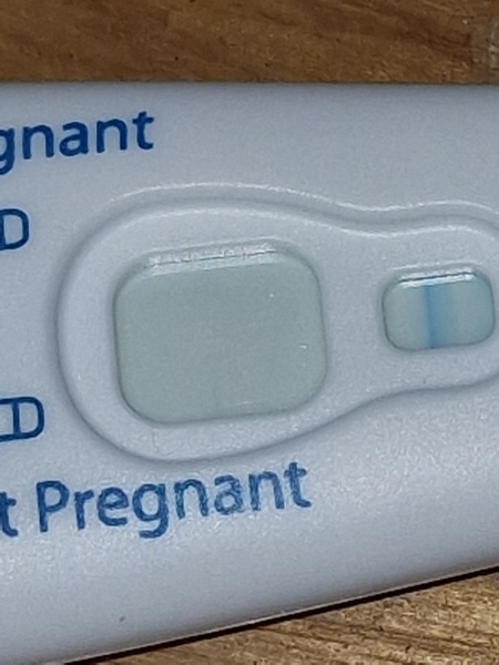 Clear blue test. Evap line or positive