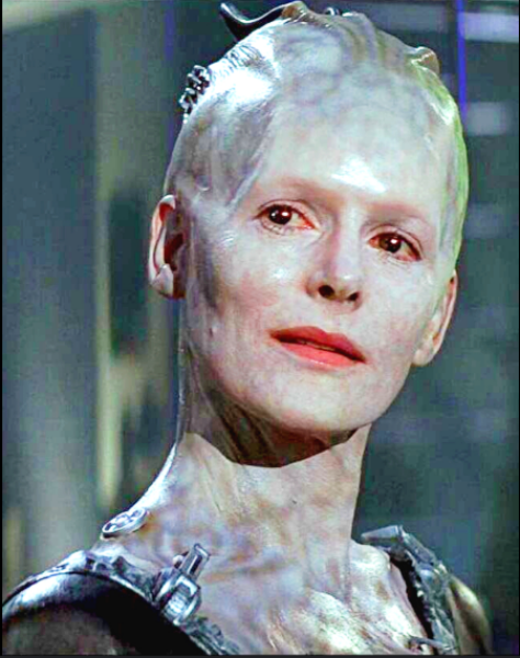 The Autumn Bluestocking - mist, mellow fruitfulness and hot chocolate!