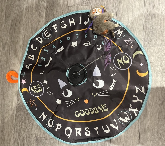 Chicken, Dreamies and Lickelix - the Excellent Cats form a disorderly queue