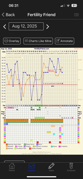 TTC TWW August/September 2025