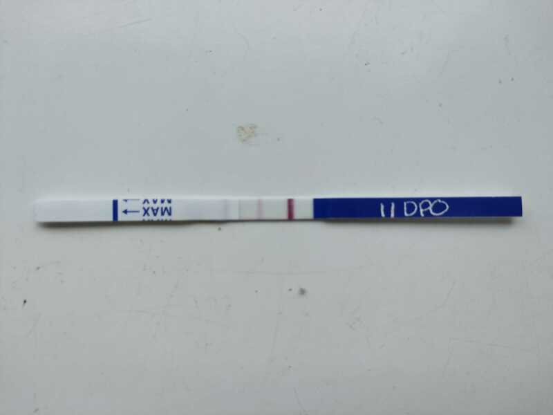 TTC TWW August/September 2025