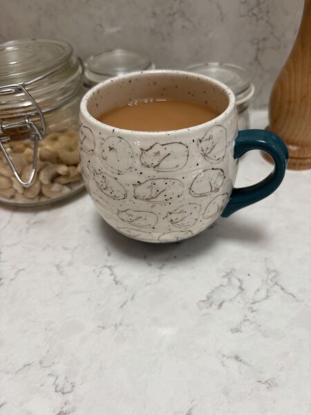 To ask a picture of your favourite mug for tea?
