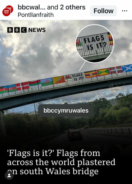 Help me pick some flags