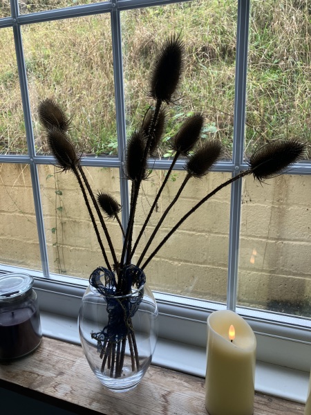 Poncetastic Christmas 2025