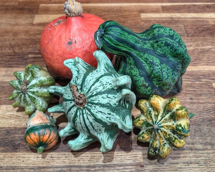 The Vegetable Patch 2024/2025