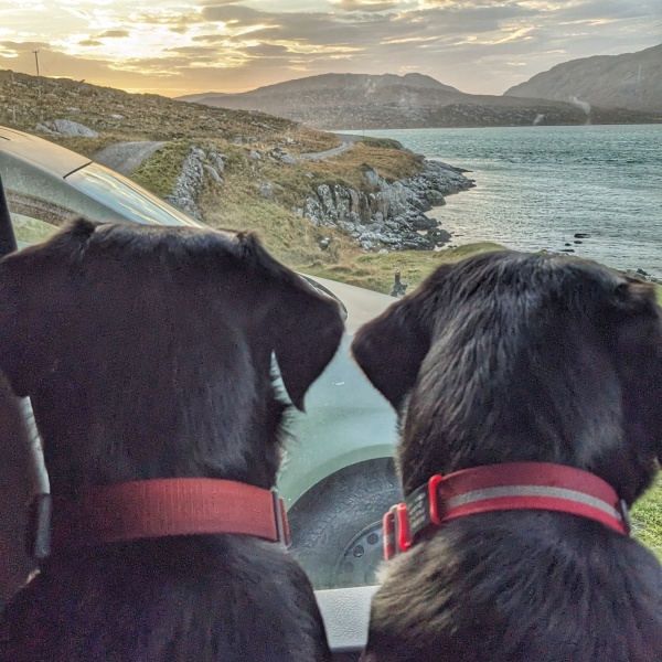 Our Cosmic Autumn Rebellion (Adolescent Support Group)