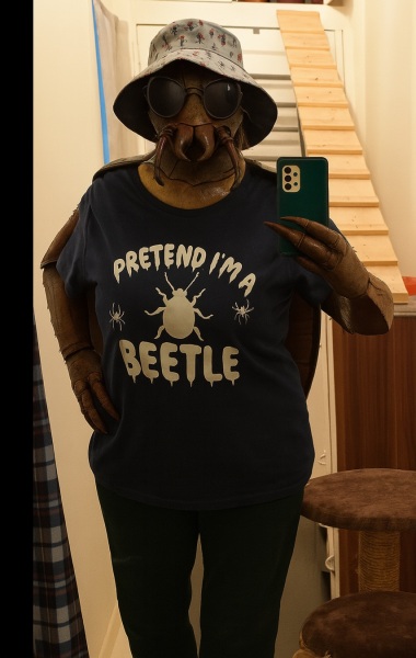 The Bluestocking - the one where the nights start to draw in