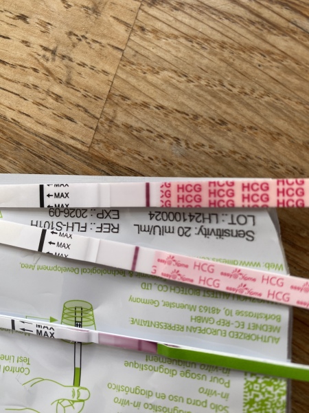 TTC TWW August/September 2025