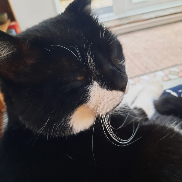 Not a supermodel, but I love him/her anyway