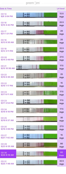 LH test help following miscarriage