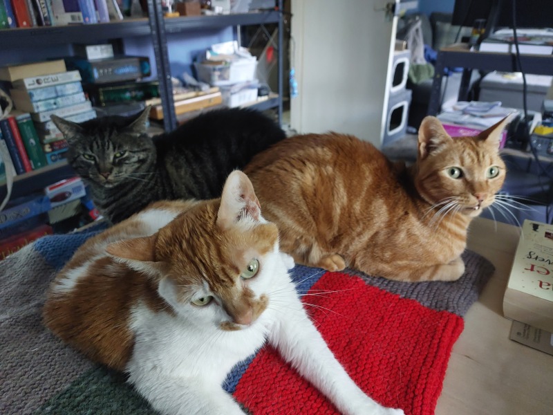 Thread 32 Starmer - Corn Moon