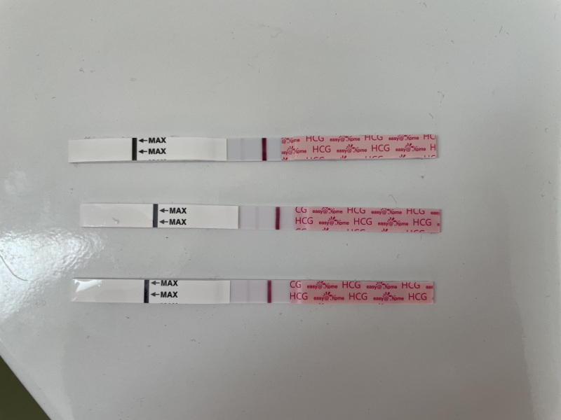 Easy@home test faint positive or evap line?