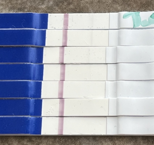 Is this a very early positive? Does anyone else see it?