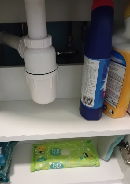 Chicken, Dreamies and Lickelix - the Excellent Cats form a disorderly queue