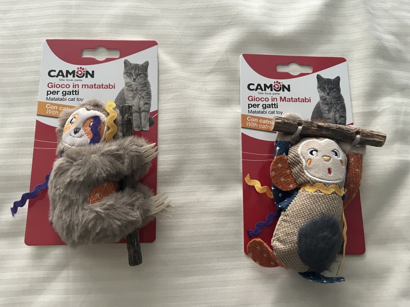 Chicken, Dreamies and Lickelix - the Excellent Cats form a disorderly queue