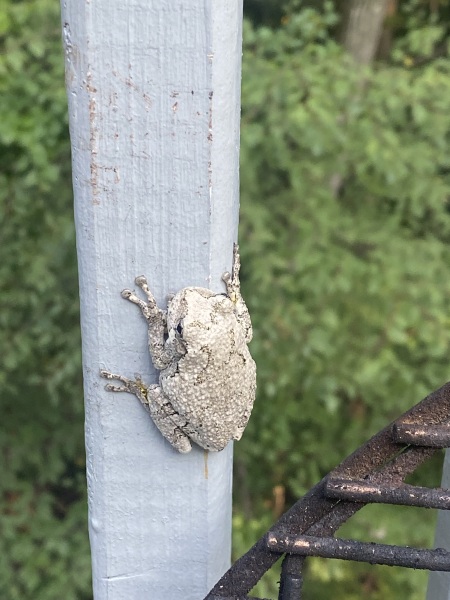 Come and tell us your dull and unexciting news 34: Calmly through the day