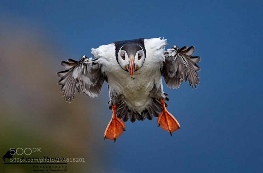 The Bluestocking - the one where the nights start to draw in