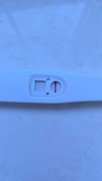 TTC TWW August/September 2025