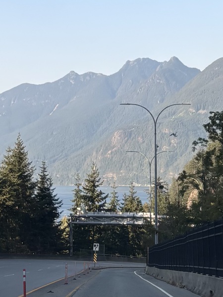 Come and tell us your dull and unexciting news 34: Calmly through the day