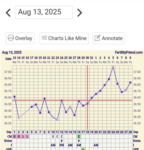 TTC TWW August/September 2025