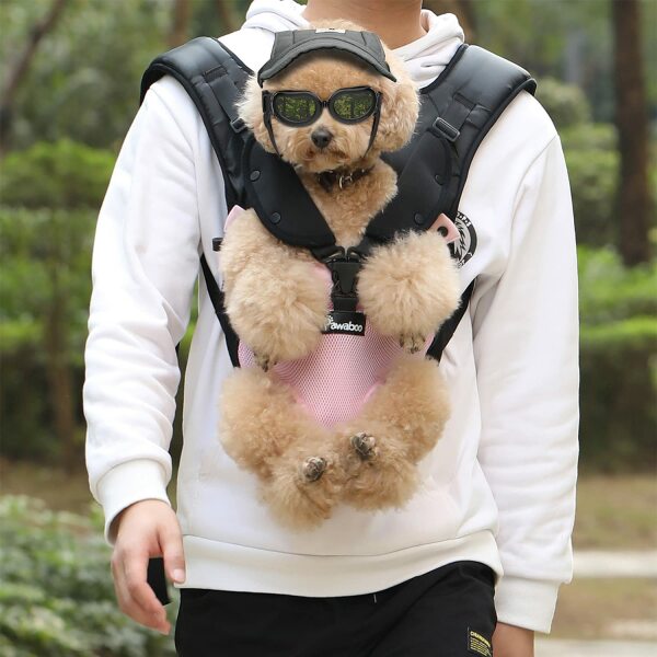 Little Dogs in Prams