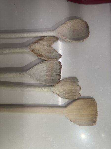 What has the dishwasher done to my wooden spoons??